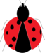 Lady Bug