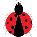 Lady Bug