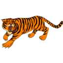 download Architetto Tigre 03 clipart image with 0 hue color