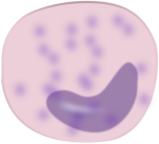 Monocyte