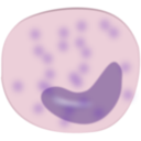 download Monocyte clipart image with 0 hue color