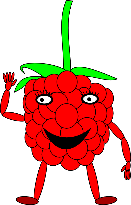 Cartoon Raspberry