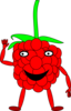 Cartoon Raspberry