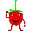 Cartoon Raspberry