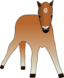 Foal