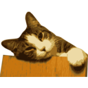 Relaxed Cat Bg Removed