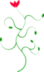 Flower Plant