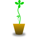 download Tender Plant clipart image with 45 hue color