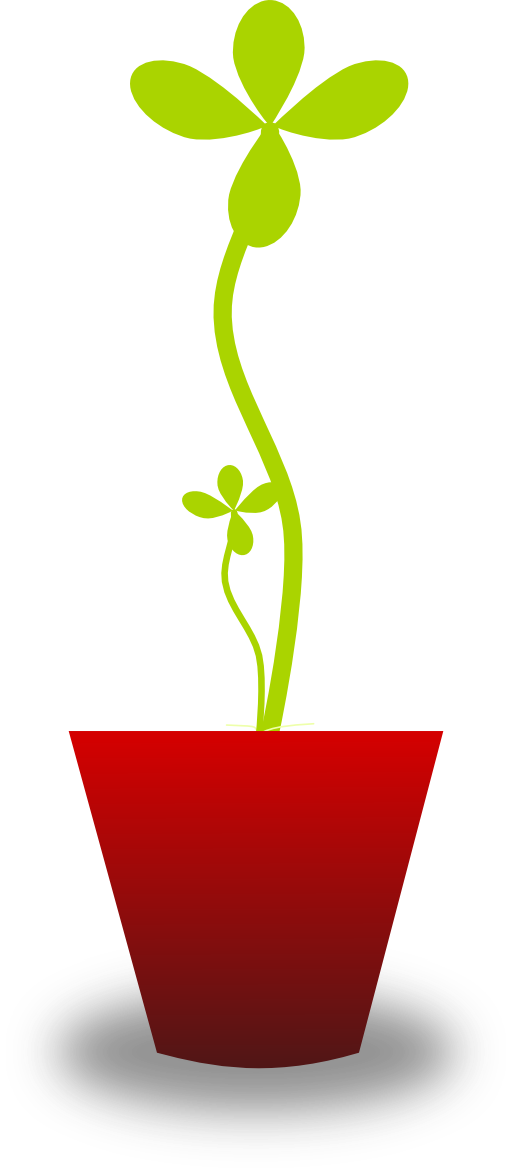Tender Plant