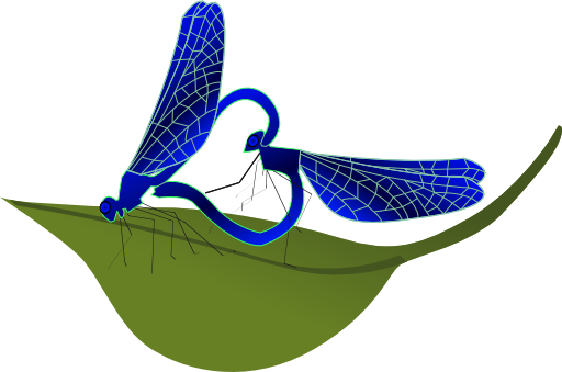 Coupling Dragonfly