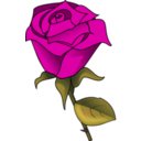 download Red Rose clipart image with 315 hue color