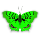 download Mariposa Pirata clipart image with 90 hue color