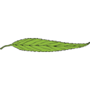 Lanceolate Leaf