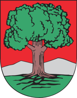 Walbrzych Coat Of Arms