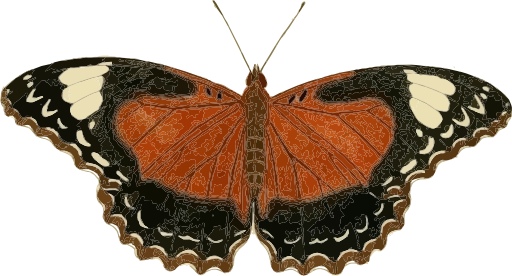 Cethosia Cydippe
