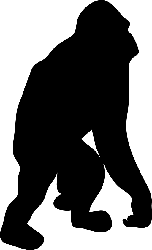 Orangutan Contour