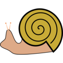 Snail