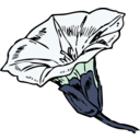download Bindweed clipart image with 90 hue color