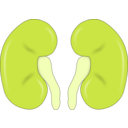 download Kidney Reins clipart image with 45 hue color