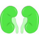 download Kidney Reins clipart image with 90 hue color
