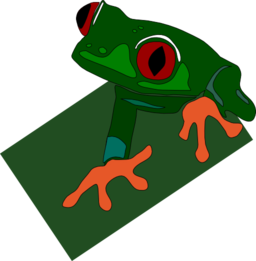 Red Eyed Frog