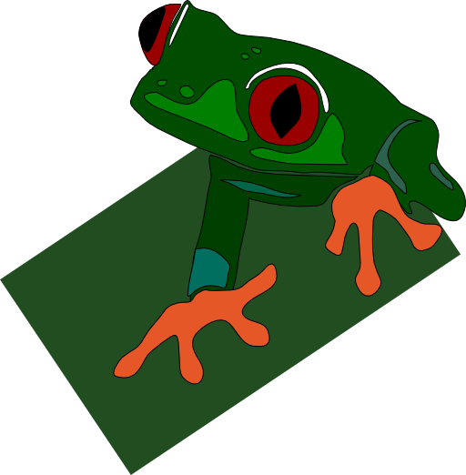 Red Eyed Frog