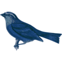 download Carpodacus Edwardsii clipart image with 180 hue color