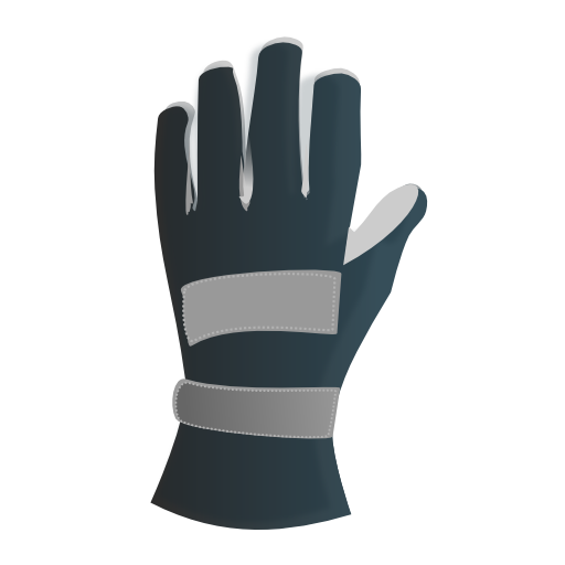 Racing Gloves