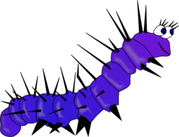 Caterpillar Gusano