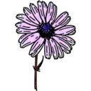download Colored Daisy 2 clipart image with 270 hue color