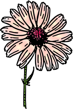 Colored Daisy 2