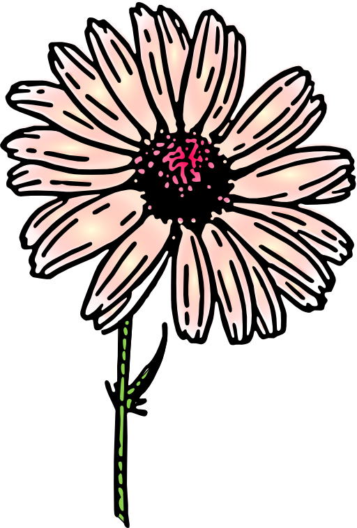 Colored Daisy 2