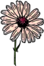 Colored Daisy 2