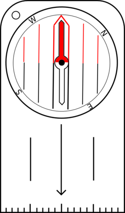 Orienteering Compass With Rotatable Housing And Needle