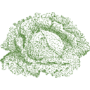 download Savoy Cabbage clipart image with 0 hue color