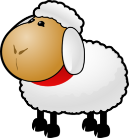 Sheep