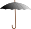 Boring Umbrella