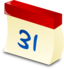 New Year Icon