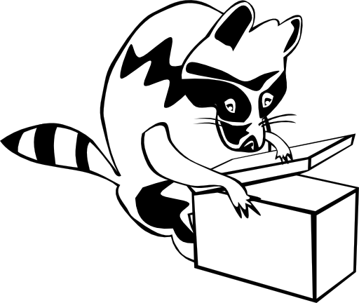 Raccoon Opening Box