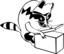 Raccoon Opening Box