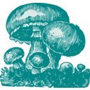download Mushrooms clipart image with 135 hue color
