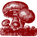 download Mushrooms clipart image with 315 hue color