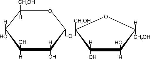 Sucrose Sugar