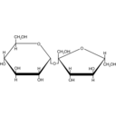 Sucrose Sugar