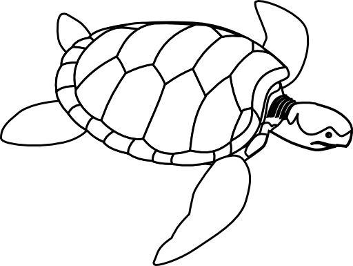 Green Sea Turtle Line Art