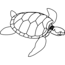 download Green Sea Turtle Line Art clipart image with 0 hue color