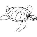 Green Sea Turtle Line Art