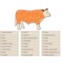 download Tagli Bovini Beef Cuts clipart image with 0 hue color