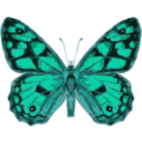 download Butterfly clipart image with 135 hue color