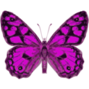 download Butterfly clipart image with 270 hue color